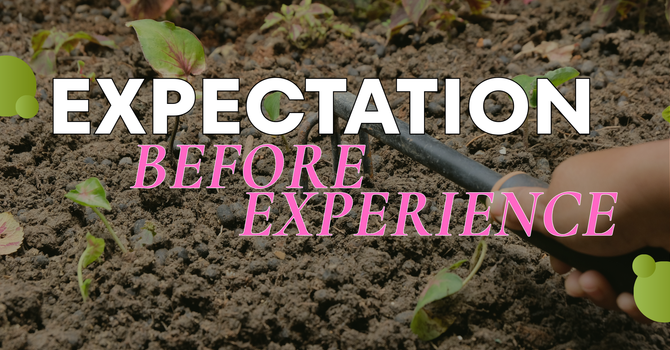 Expectation Before The Experience