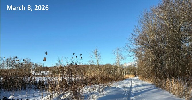 Sermon: "Gatorade for the Soul"