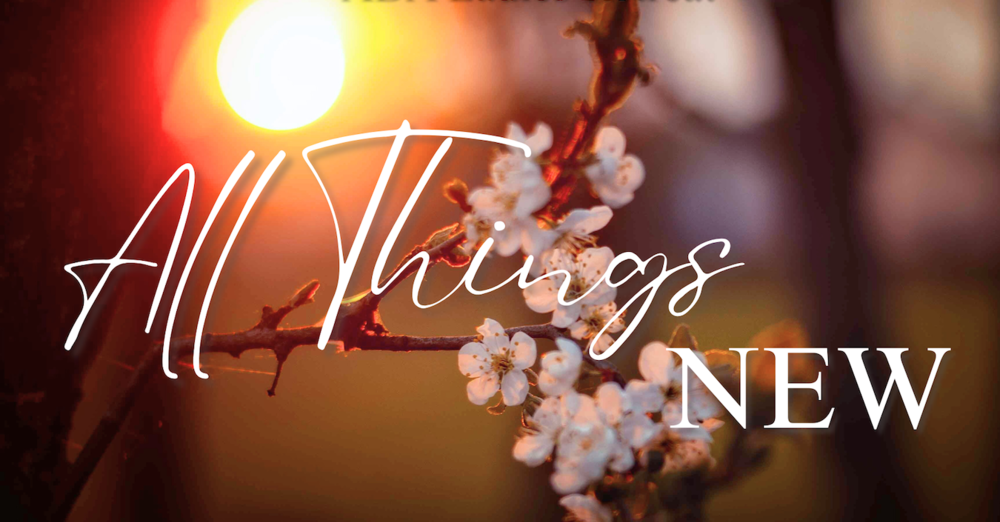 ABA 2026 Ladies Retreat