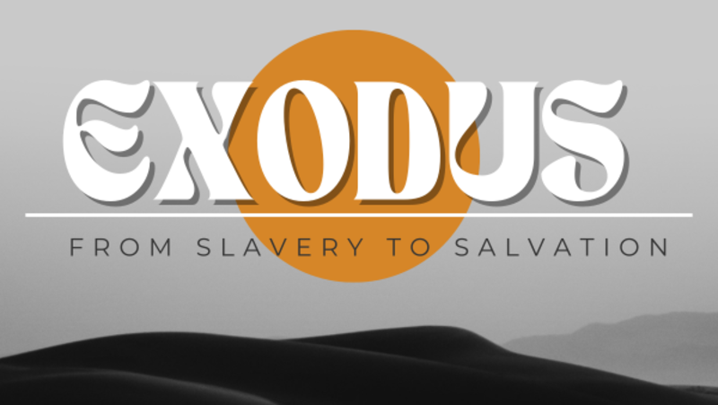Exodus: From Slavery To Salvation