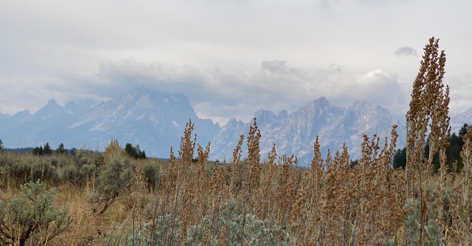 March 8, 2026 - Sunday Morning Service