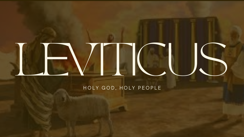 Holy Work in a Holy Place