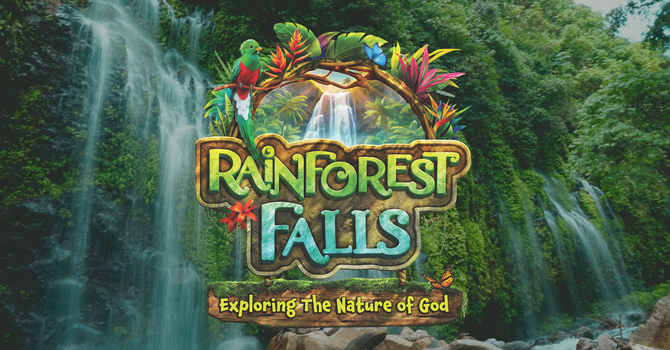 Rainforest Falls 