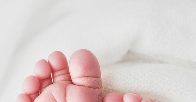 Born Again: A Work of God, Not of Man