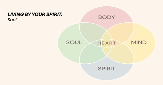 Living By Your Spirit Week 5