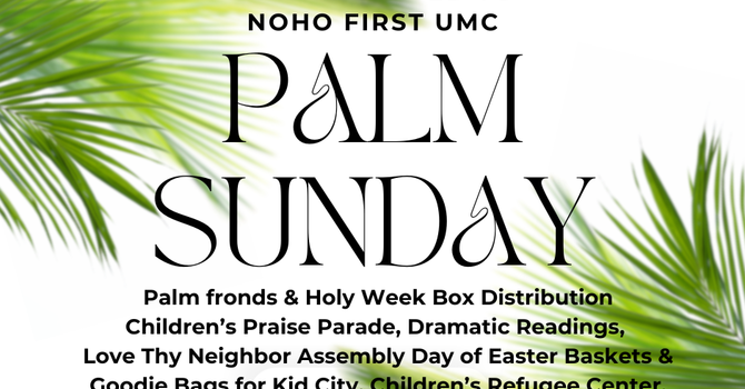 Palm Sunday & Holy Week Box Distribution