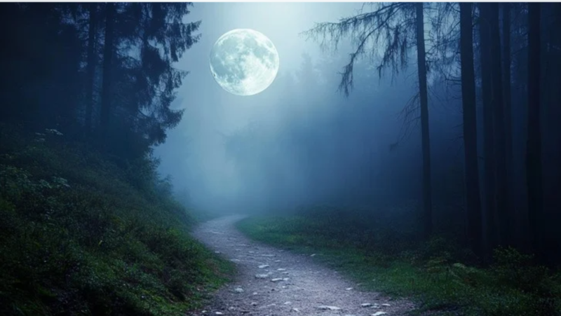 A light shining in the darkness