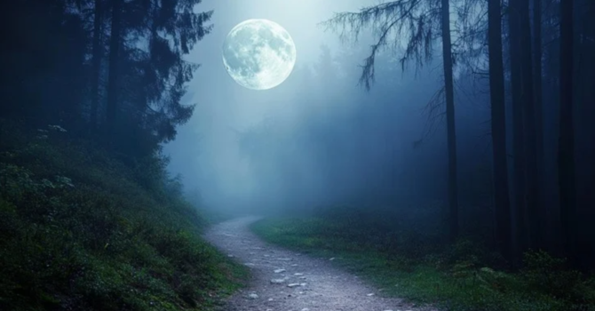 A light shining in the darkness