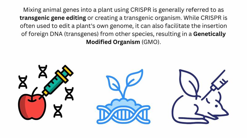 Book of Revelation Episode 10