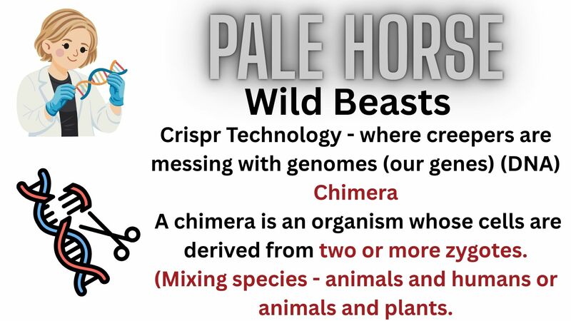 Book of Revelation Episode 10