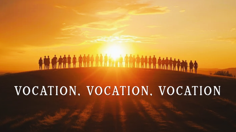 Vocation, Vocation, Vocation