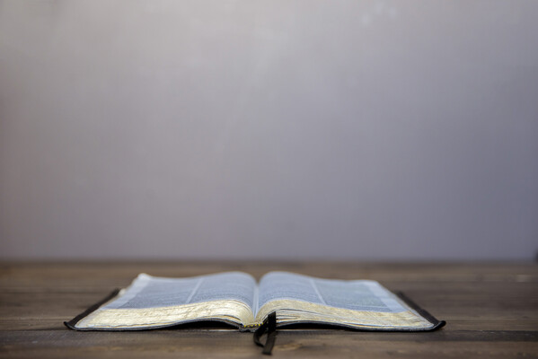 From Your Hiding Place