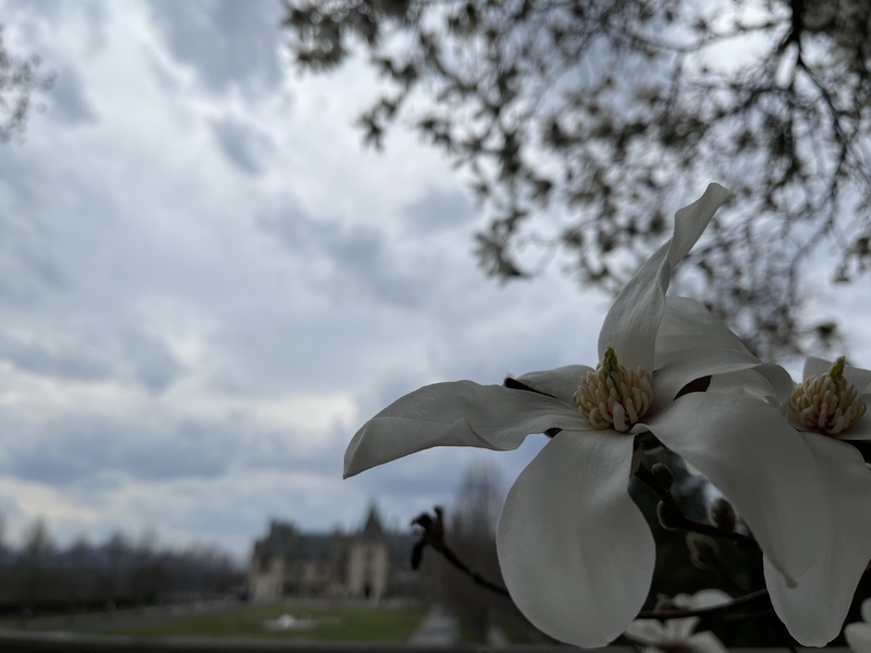 Connecting to the Kingdom of God - As Seen in the Life of King David!