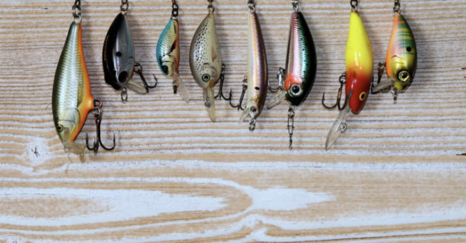 Fishing Trip to Inks Lake