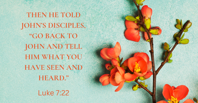 What are Your Doubts Today?