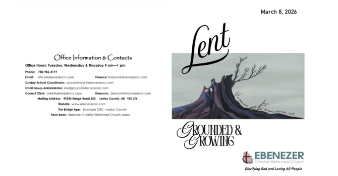 Jesus In The Wilderness