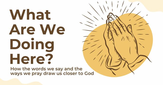 What Are We Doing Here?