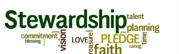 From the Stewardship Team