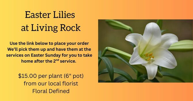 Order a Lily for Easter