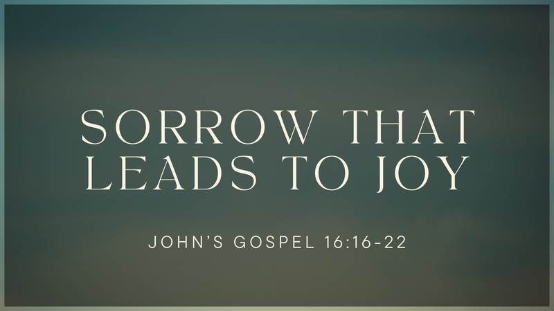 Sorrow That Leads to Joy