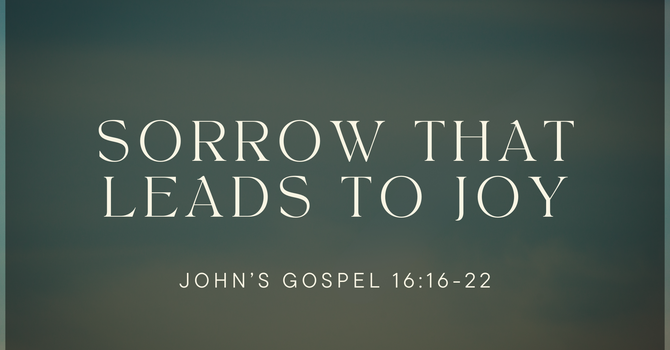 Sorrow That Leads to Joy