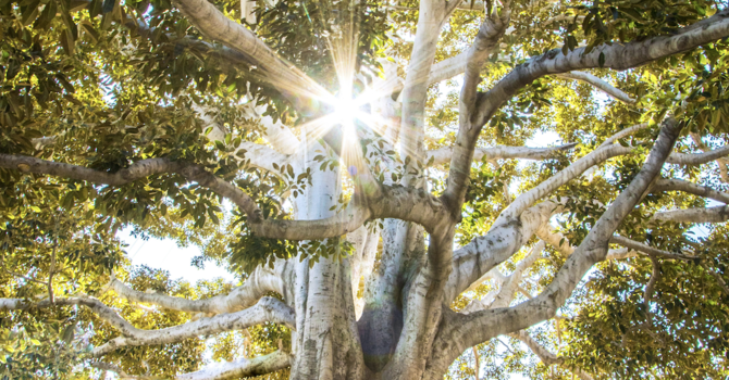 Prepare your Heart for Worship on March 15