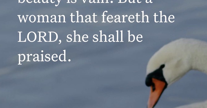 Beauty that Lasts image