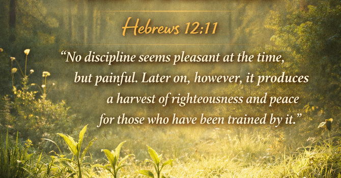 Growth Beneath The Surface image