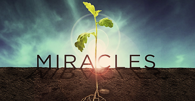 Wednesday Night Bible Study