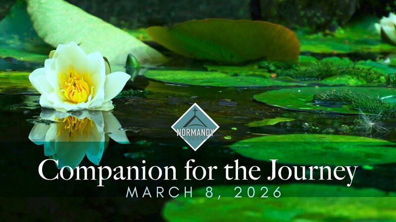 Companion for the Journey