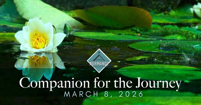 Companion for the Journey