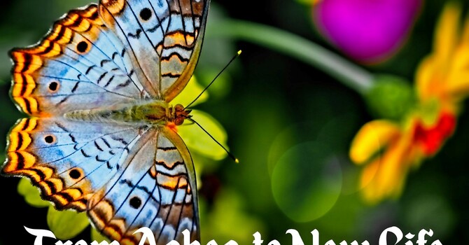 The Fourth Sunday in Lent - March 15, 2026