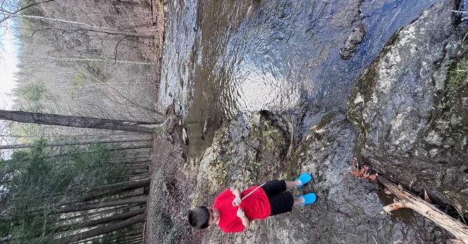 Prayer at the Edge of the Water image
