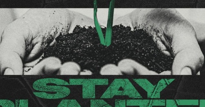 “Stay Planted”  image
