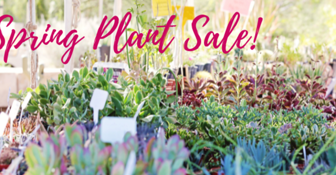Spring Plant Sale