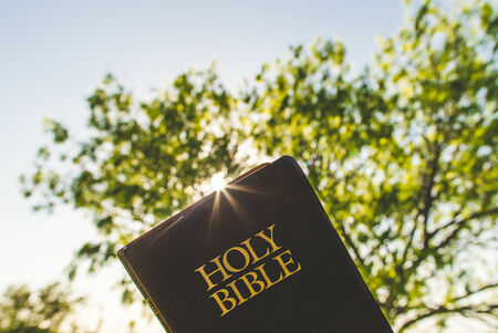 The Book of Proverbs