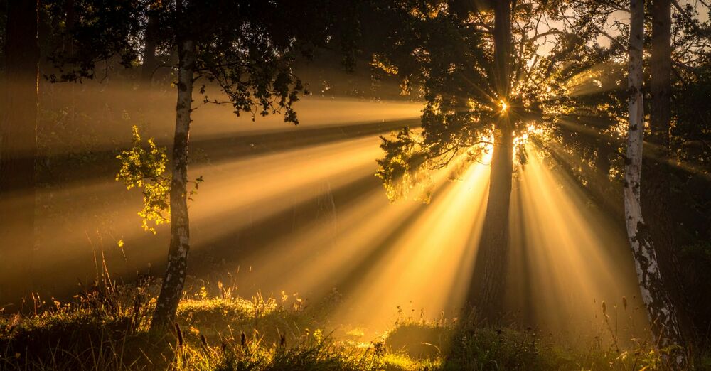 The Fourth Sunday in Lent