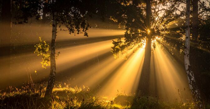 The Fourth Sunday in Lent