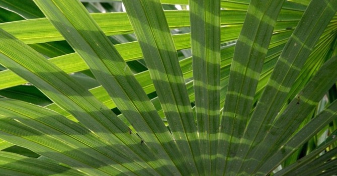 Assembling the Palm Bouquets