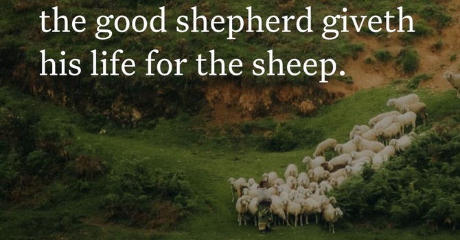 Our Good Shepherd 