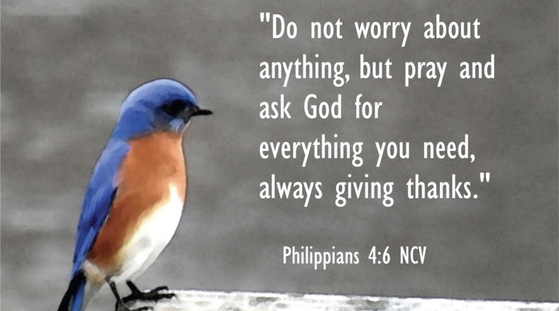 "Taming Anxiety and Guilt"