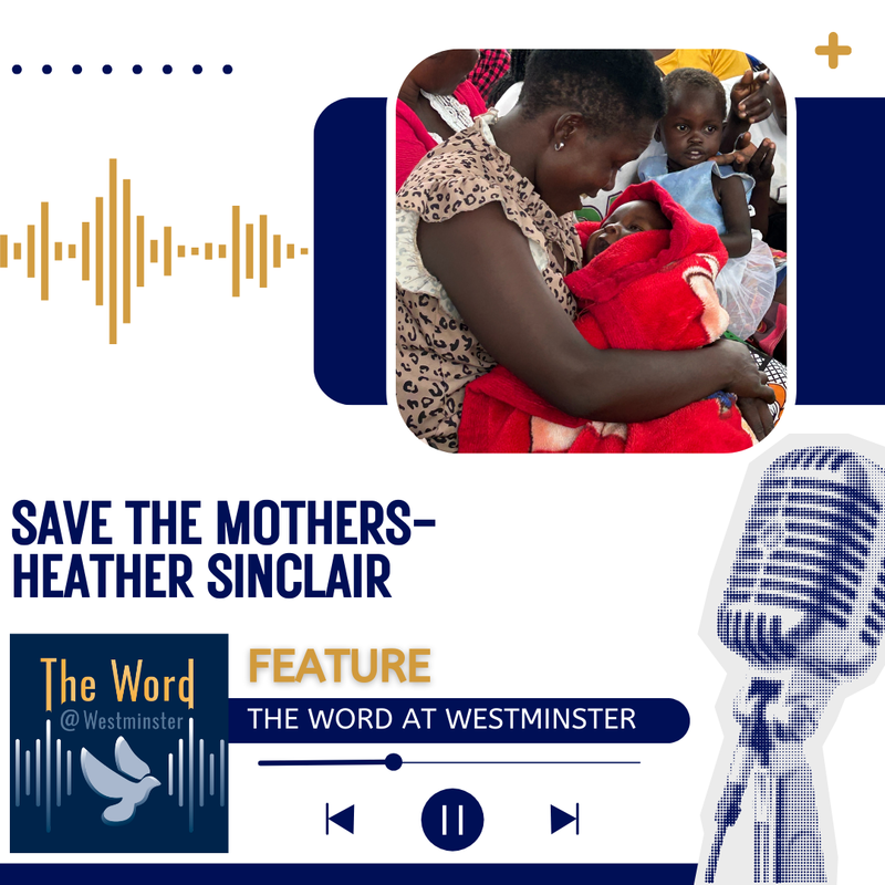 Save the Mothers - Heather Sinclair