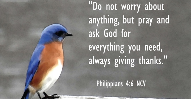 "Taming Anxiety and Guilt"