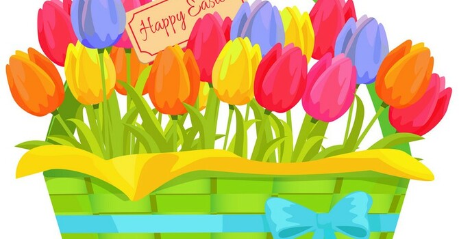 Order Easter Tulips! image