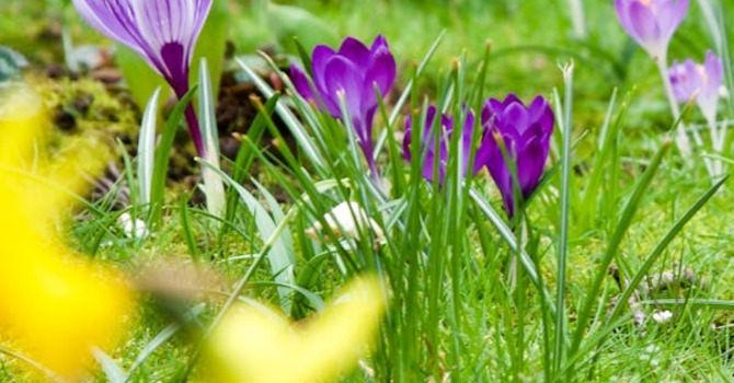 March 12, 2026 Devotion image