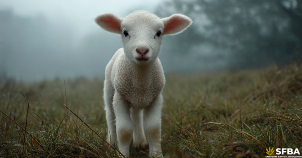 Getting Ready for Easter Part 1 of 3