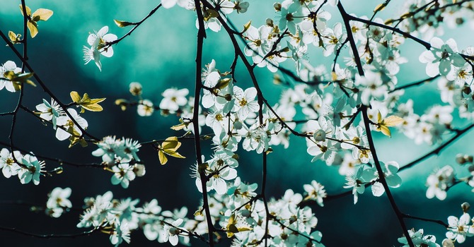 March 13, 2026 Devotion image