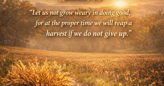 Don't Quit The Process image