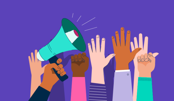 The Amherst H. Wilder Foundation’s Advocacy Leadership Intensive (ALI)