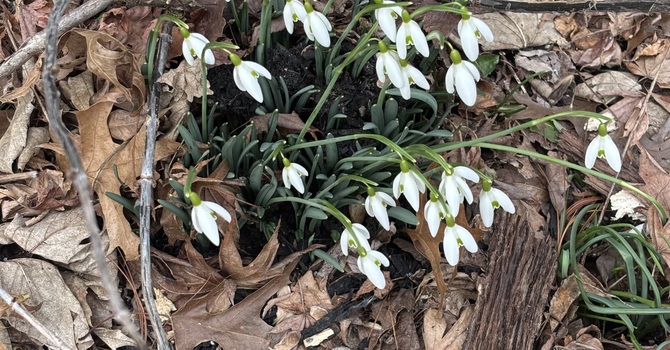 Love is Always Up to Something image